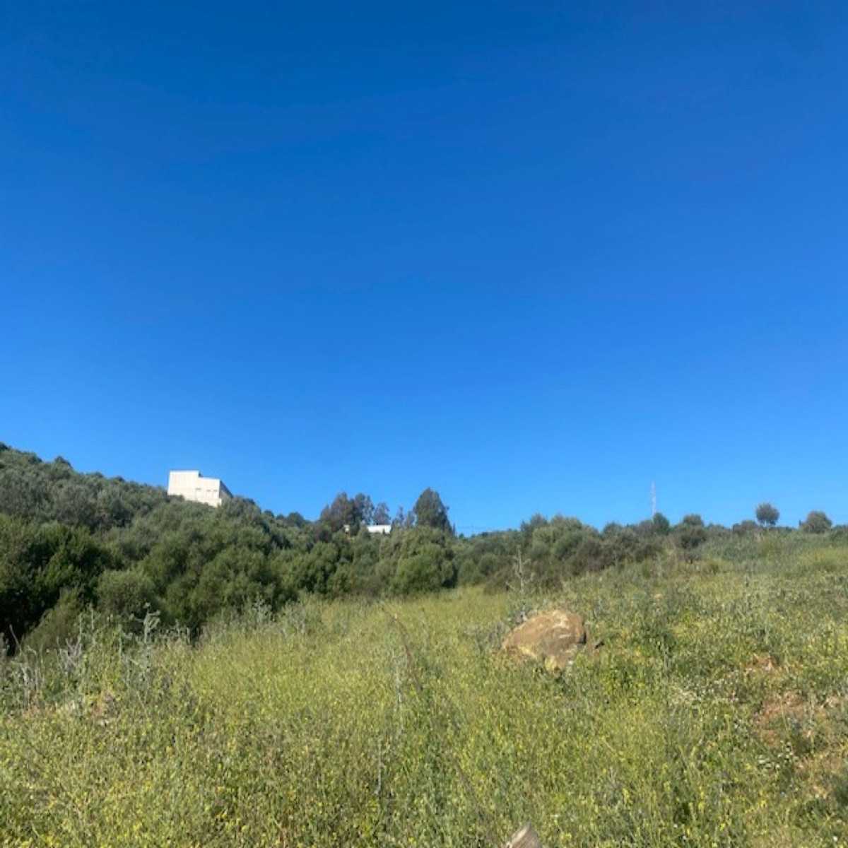 Land in Estepona, Andalusia 11816763