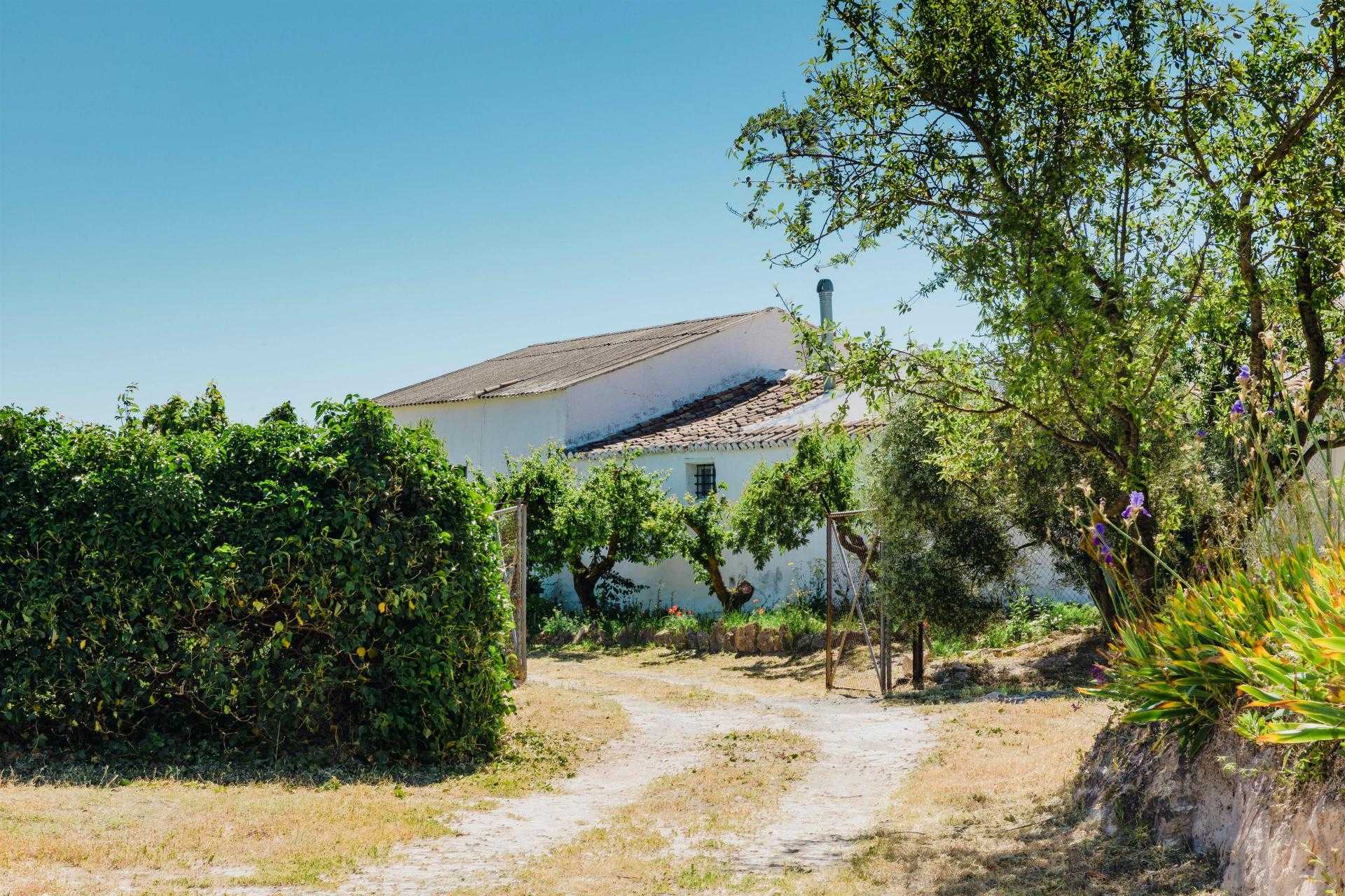 House in Ardales, Andalusia 11822661