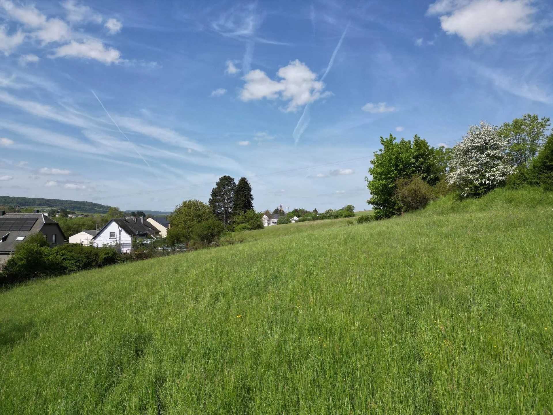 Land in Musson, Wallonia 11822748