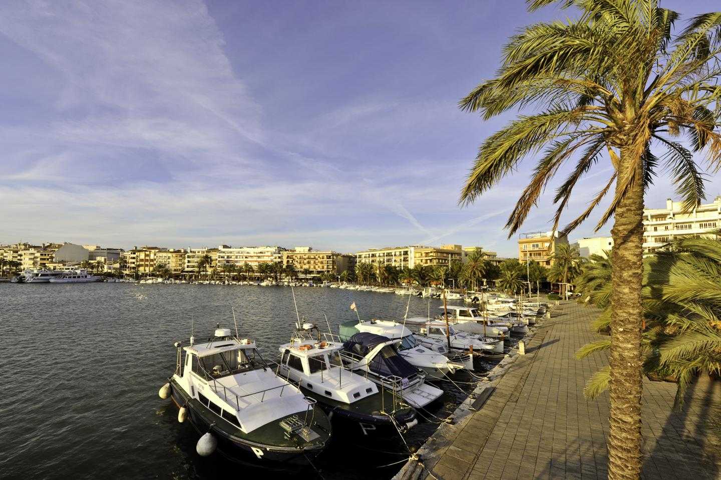عمارات في Port d'Alcúdia, Illes Balears 11825717