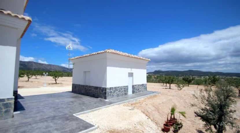 House in Pinoso, Valencia 11830382