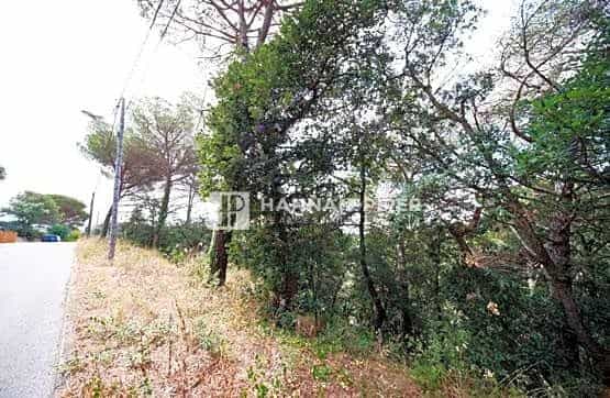 Tanah di Massanet de la Selva, Catalonia 11832816