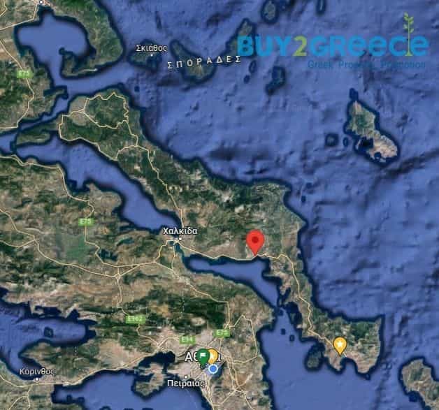 Γη σε Αλιβέρι, Στερεά Ελλάδα 11833354