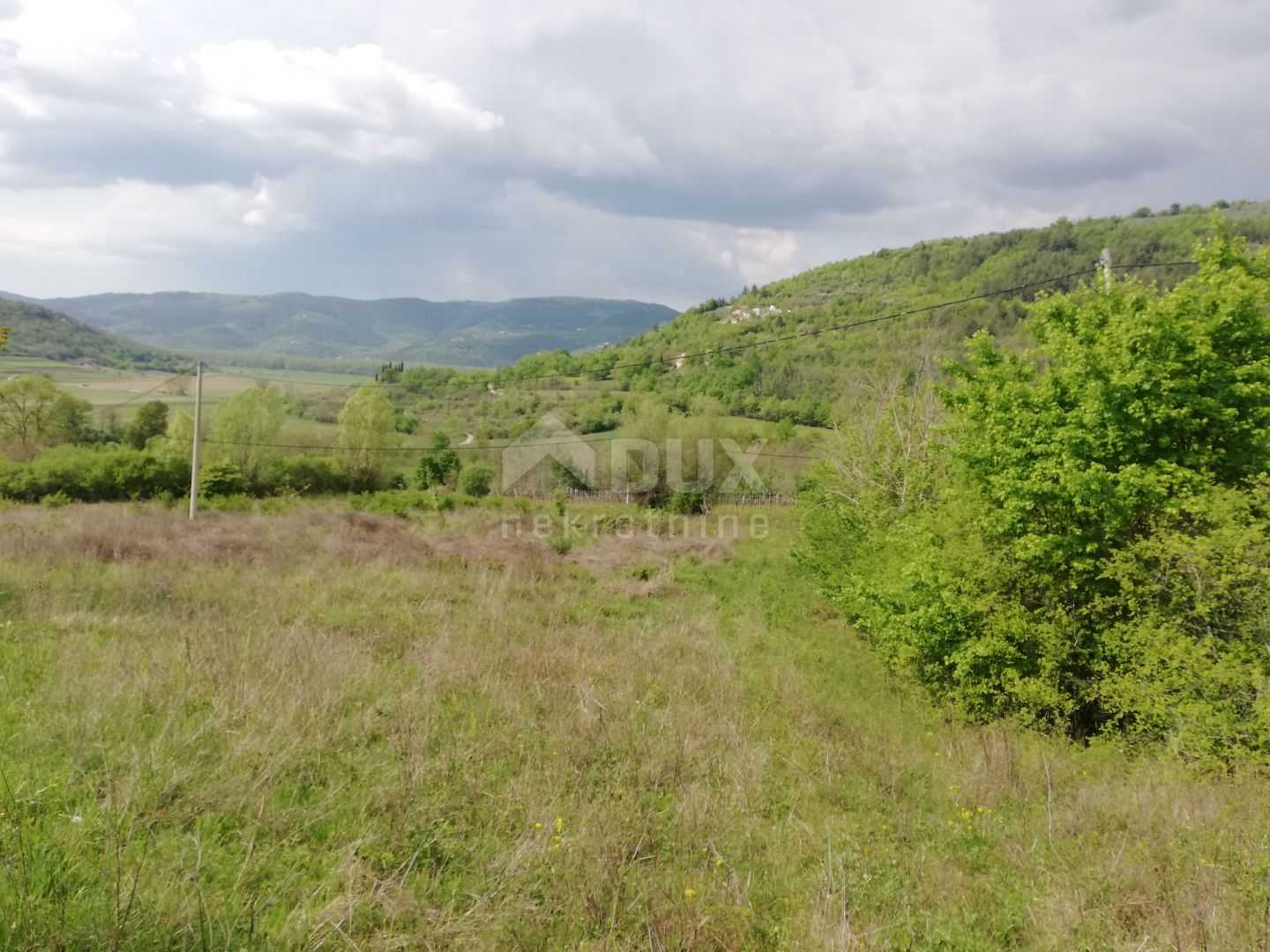 Terre dans Motovun, Istria County 11839251
