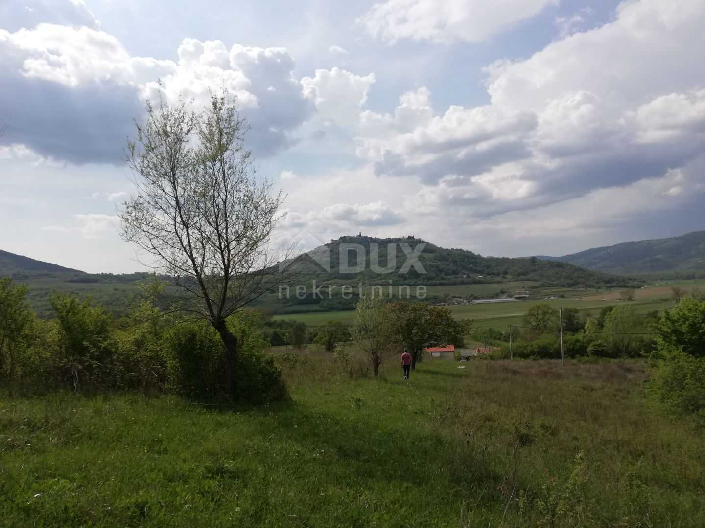 Terre dans Motovun, Istarska Zupanija 11839251
