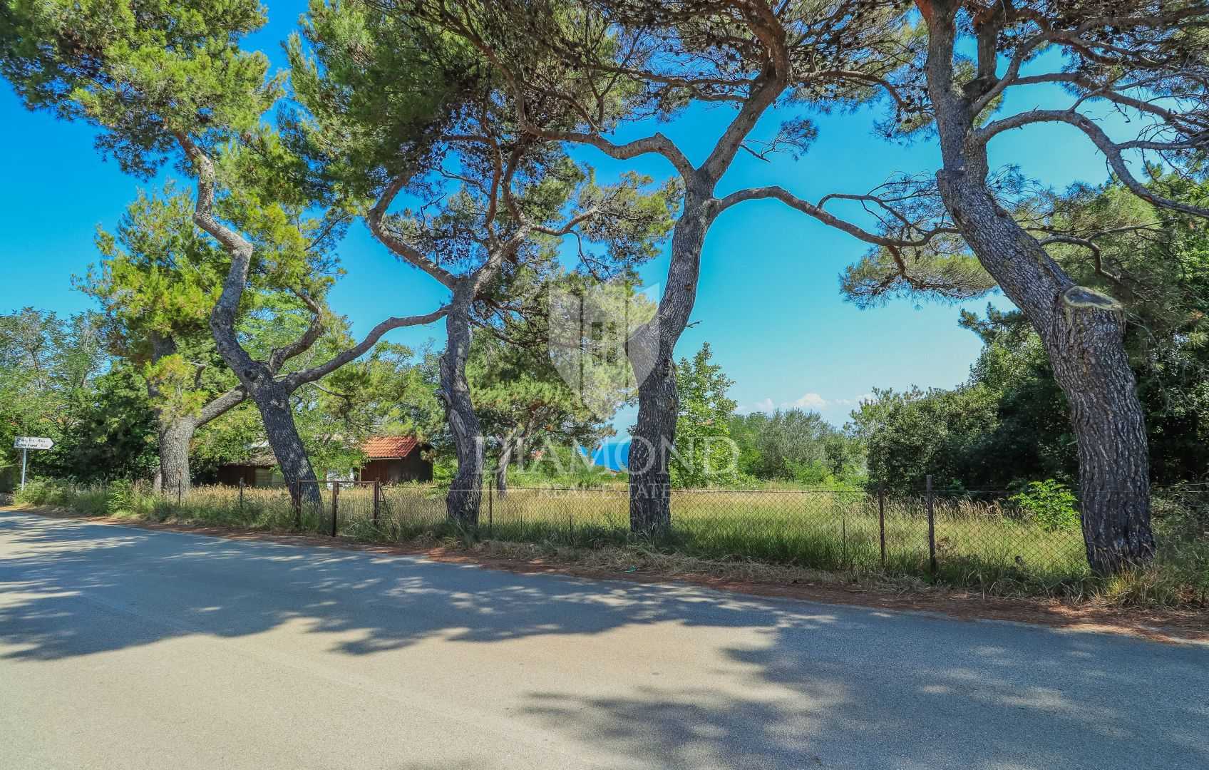 भूमि में Crveni Vrh, Istria County 11845559