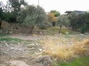 Land in Sotira, Ammochostos 11847476