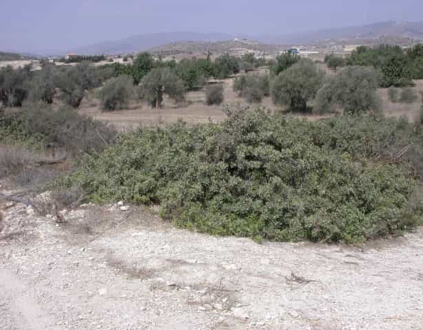 Annen i Pyrgos, Larnaka 11847566