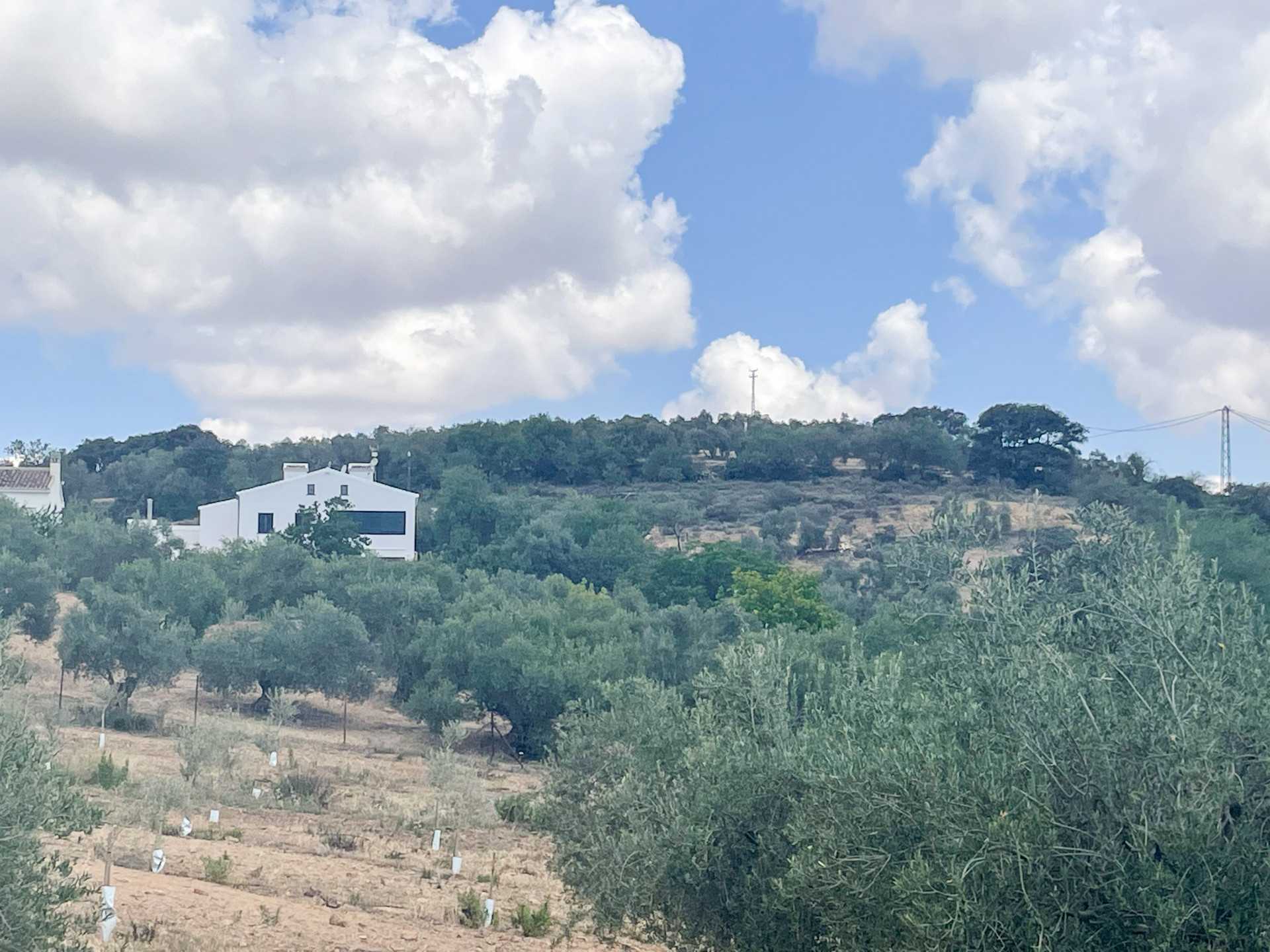 House in Antequera, Andalusia 11851304