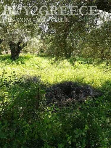 Land in Kalligonio, Ionia Nisia 11857893