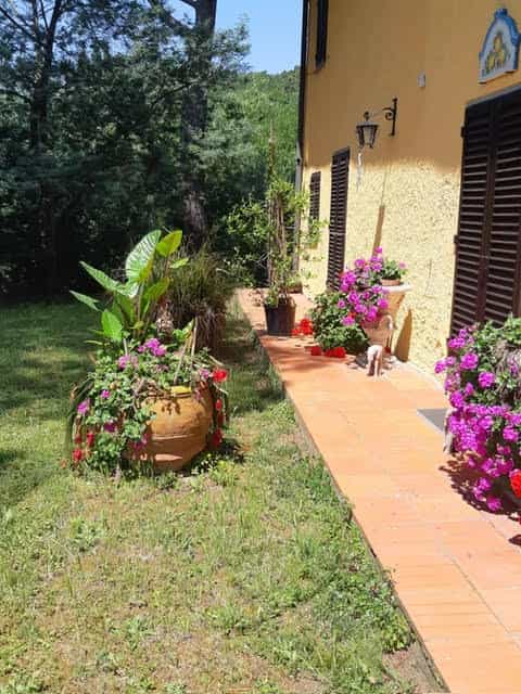 Talo sisään Montevettolini, Tuscany 11858336
