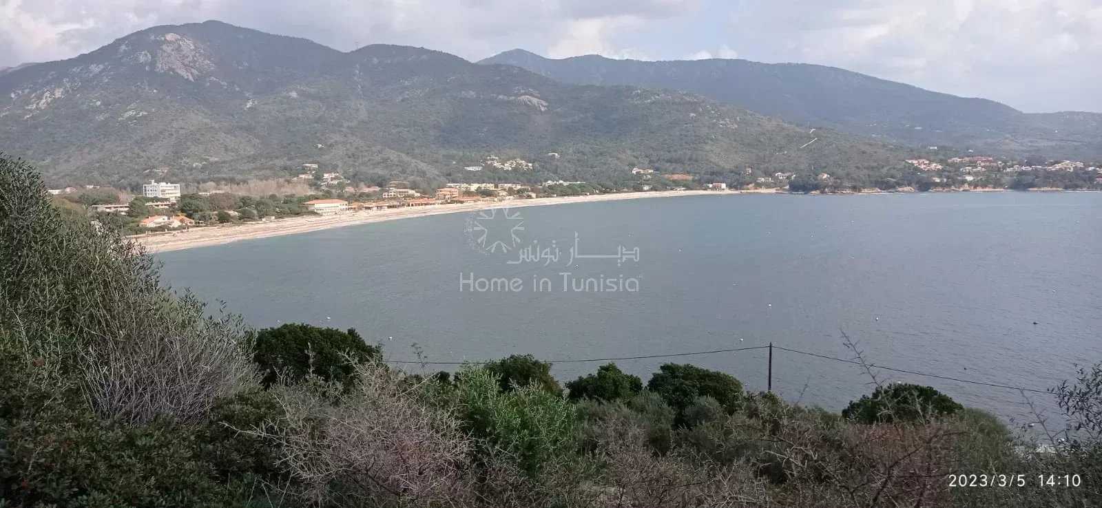Land in Coggia Maio, Corsica 11863334