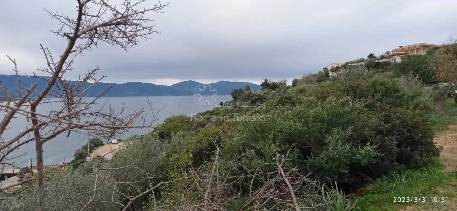 Tanah di Coggia Maio, Korsika 11863334