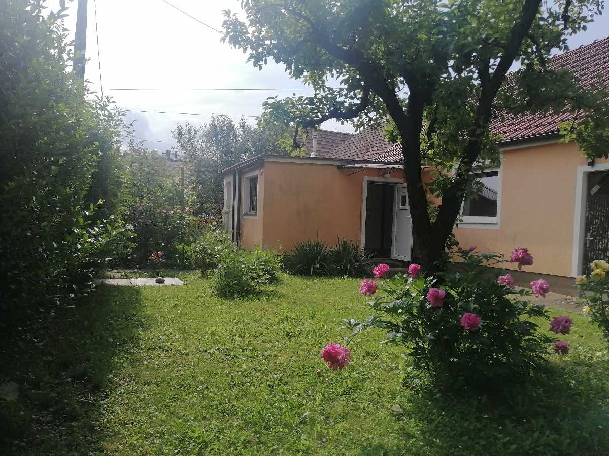 casa en Meljski Hrib, Máribor 11863807