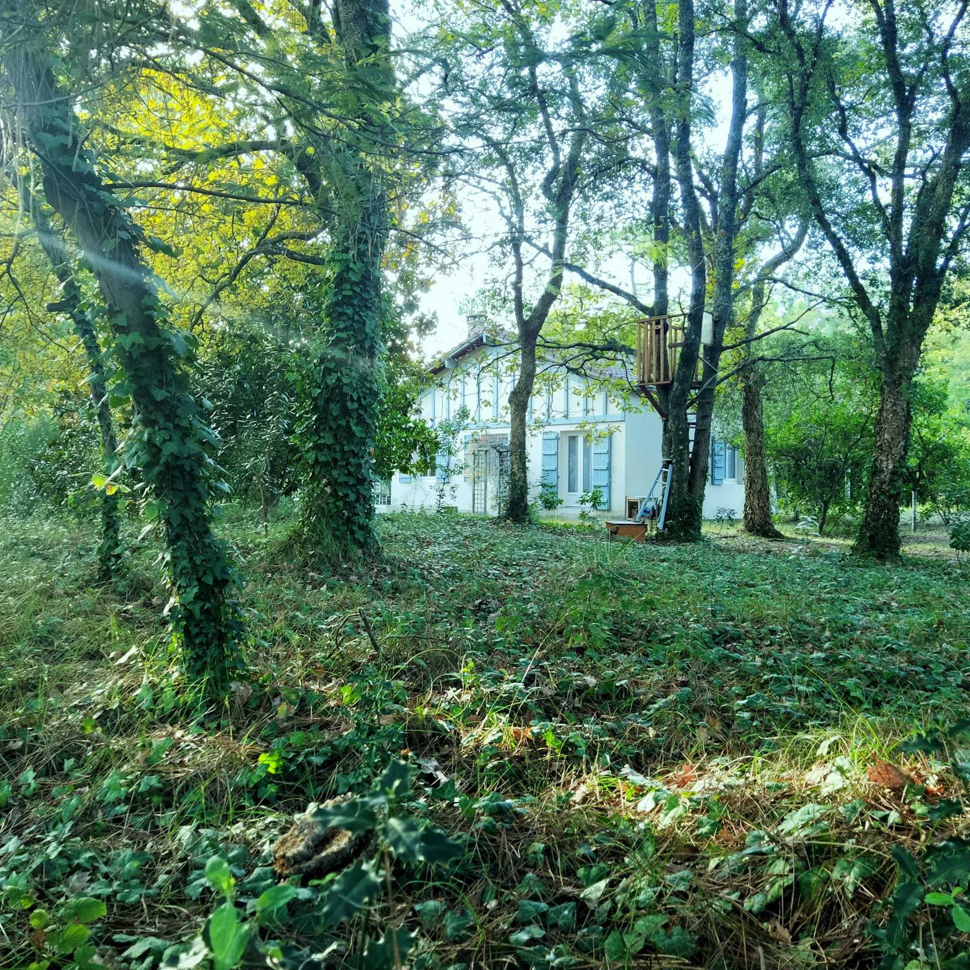 rumah dalam Hossegor, Nouvelle-Aquitaine 11865413