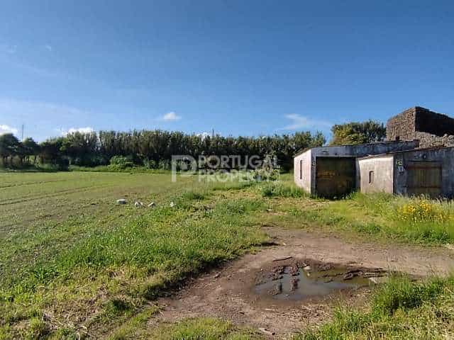 Land in , Azores 11866458