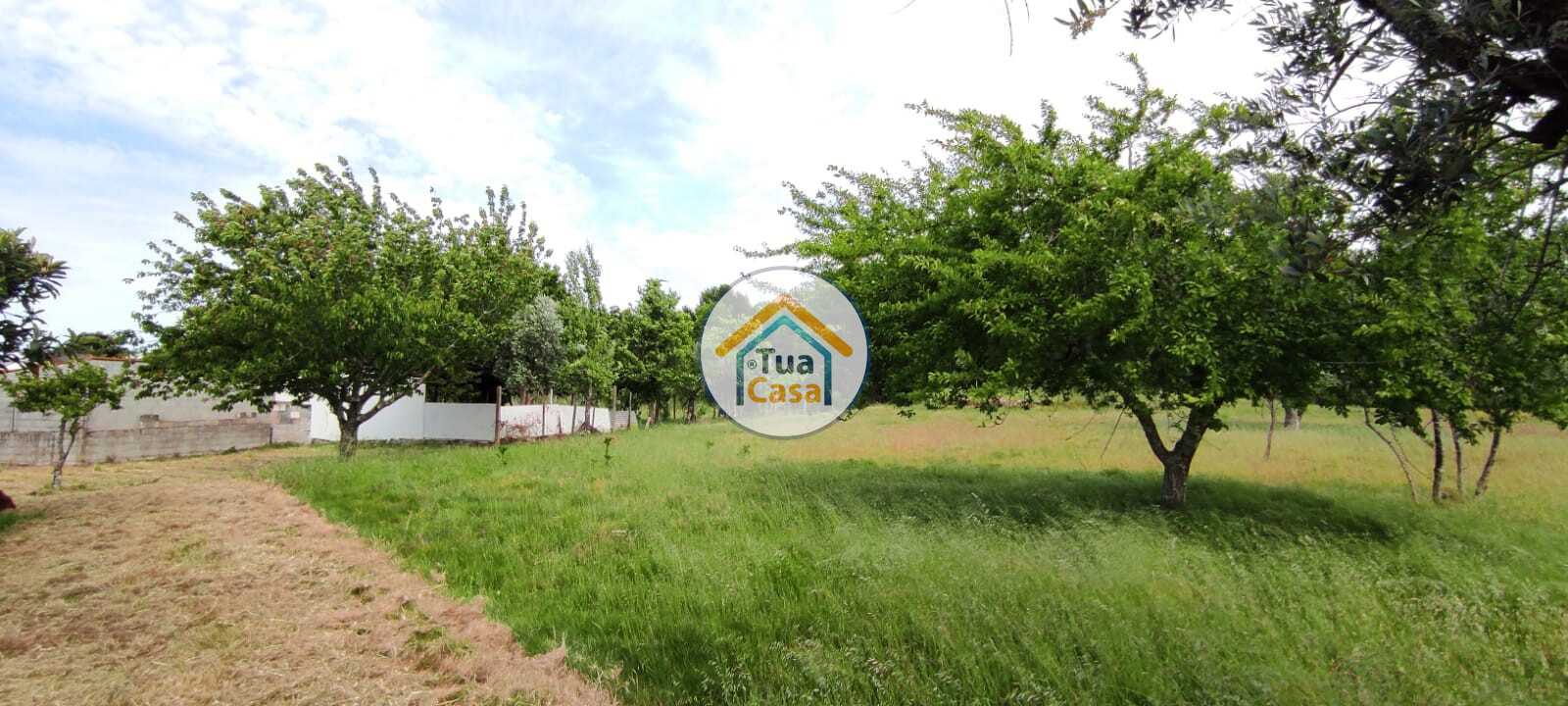 房子 在 Viseu, Viseu District 11873019