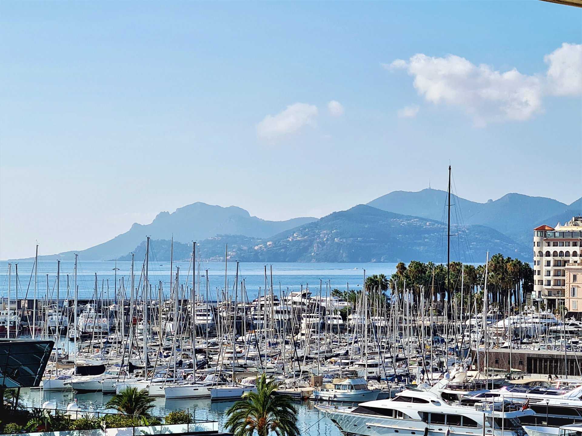 Osakehuoneisto sisään Cannes, Provence-Alpes-Côte d'Azur 11873839