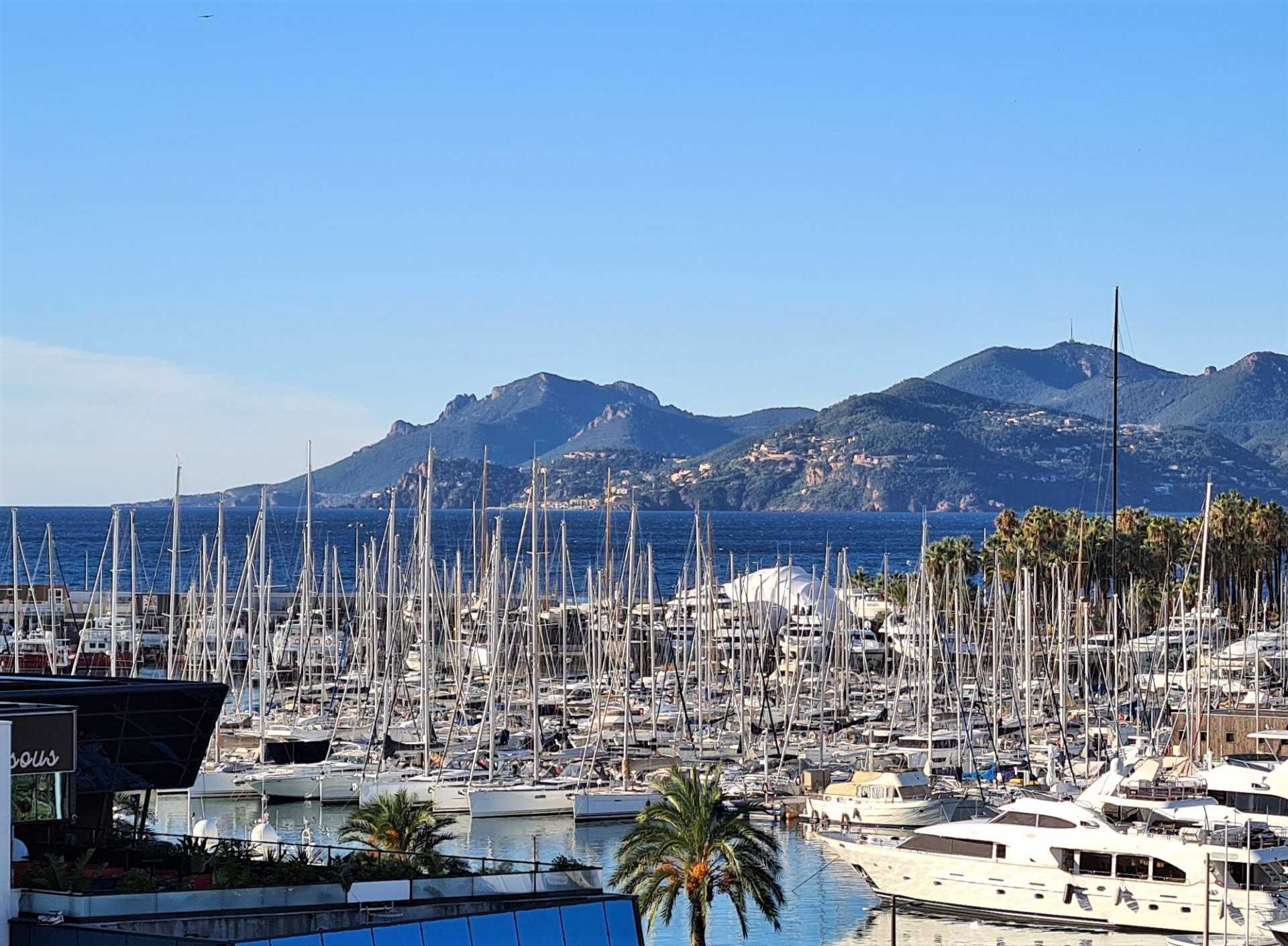 분양 아파트 에 Cannes, Provence-Alpes-Côte d'Azur 11873839