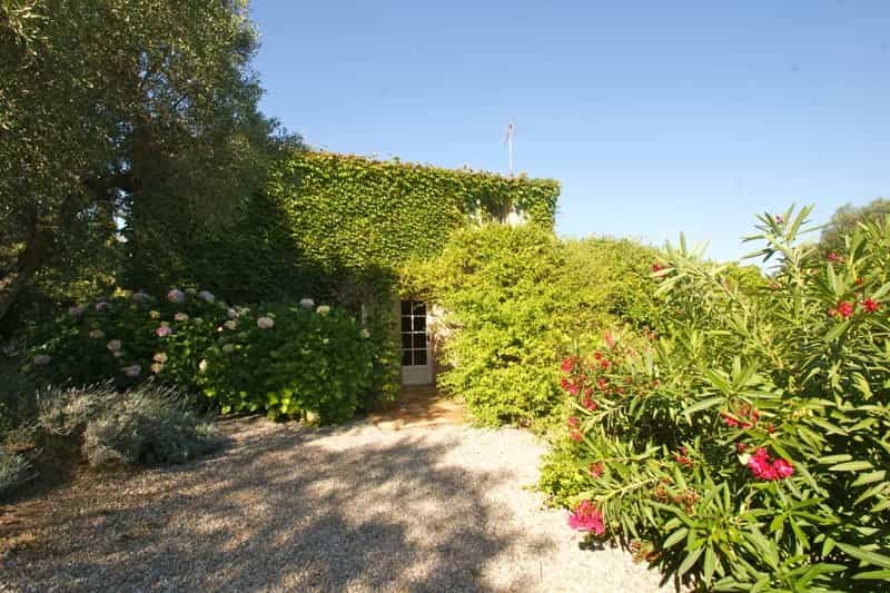 Dom w Saint Tropez, Prowansja-Alpy-Lazurowe Wybrzeże 11874386