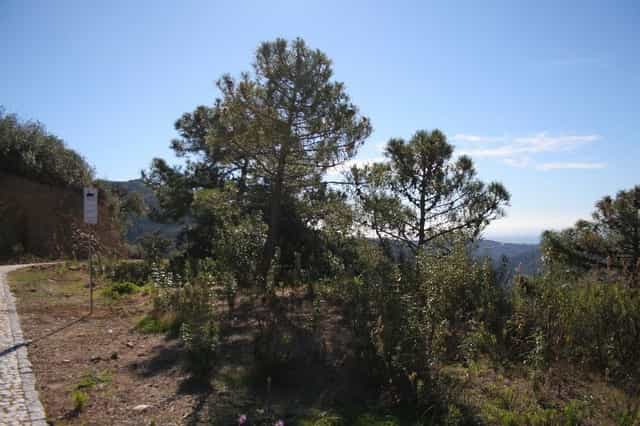 Tanah di Benahavis, Andalusia 11876698