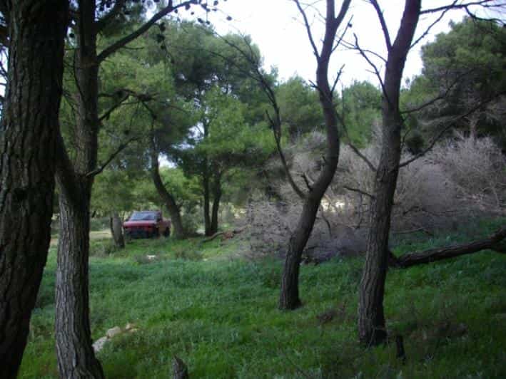 Land in Gaitani, Ionia Nisia 11878913