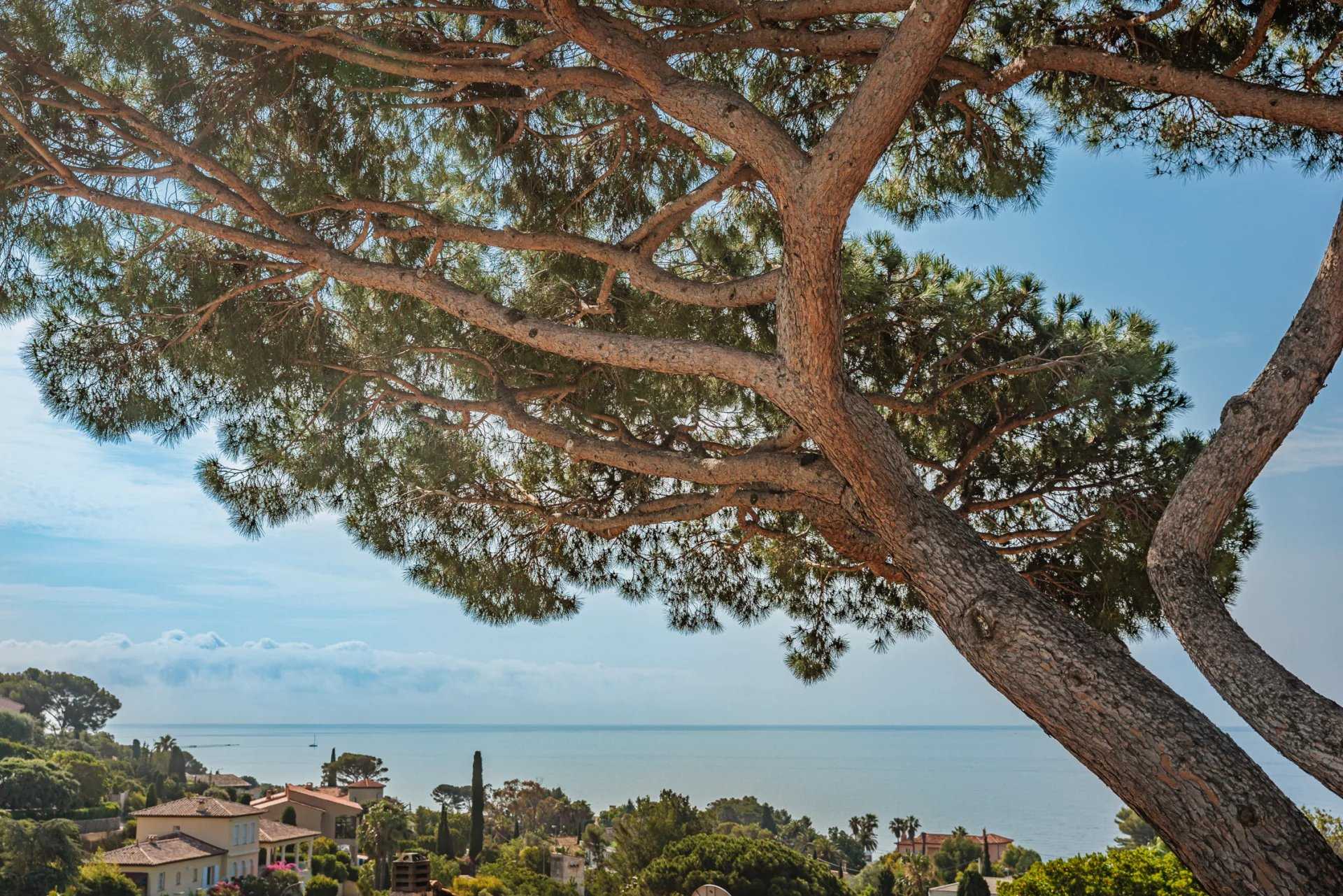 loger dans Sainte Maxime, Provence-Alpes-Côte d'Azur 11880981