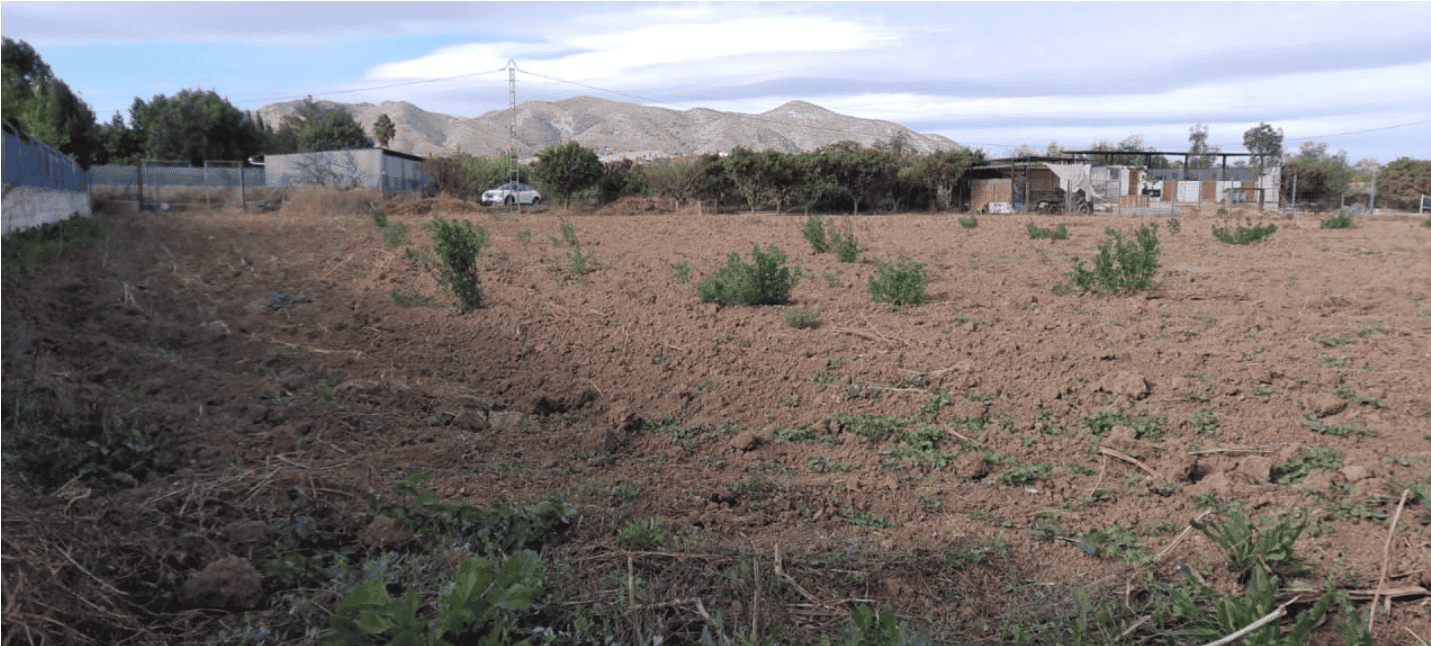 Tanah dalam Santa Amalia, Extremadura 11885689