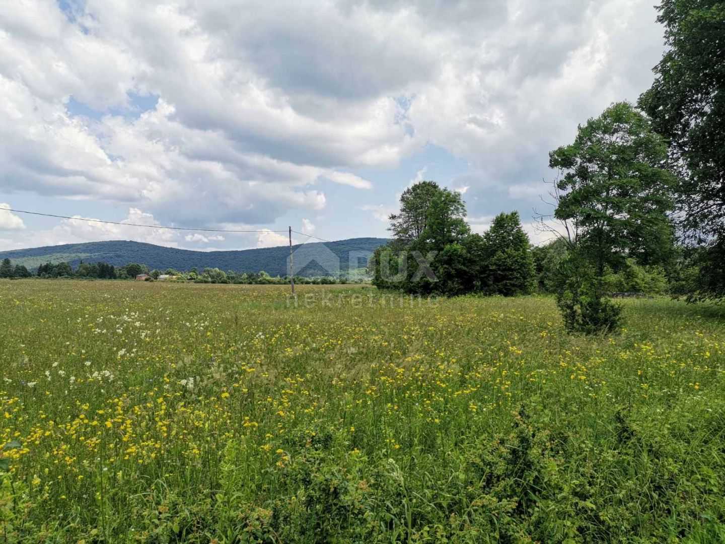 Land in Plaski, Karlovacka Zupanija 11888952