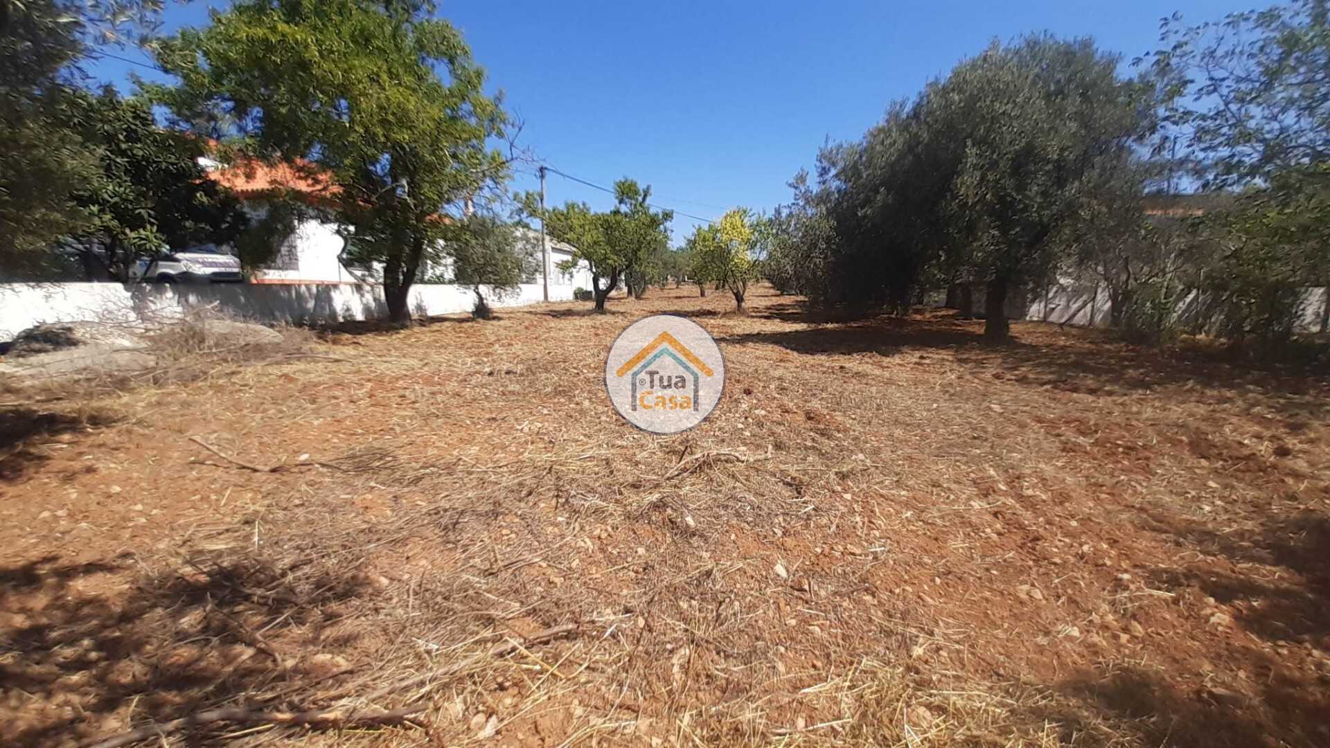Tanah dalam São Brás de Alportel, Faro District 11889180