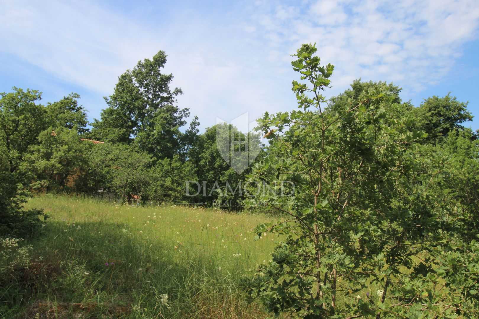 Land in Labin, Istria County 11891636