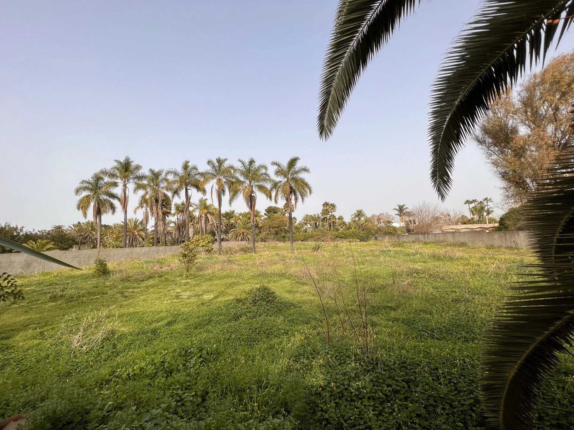 Land im Lqamra, Rabat-Salé-Kénitra 11914175