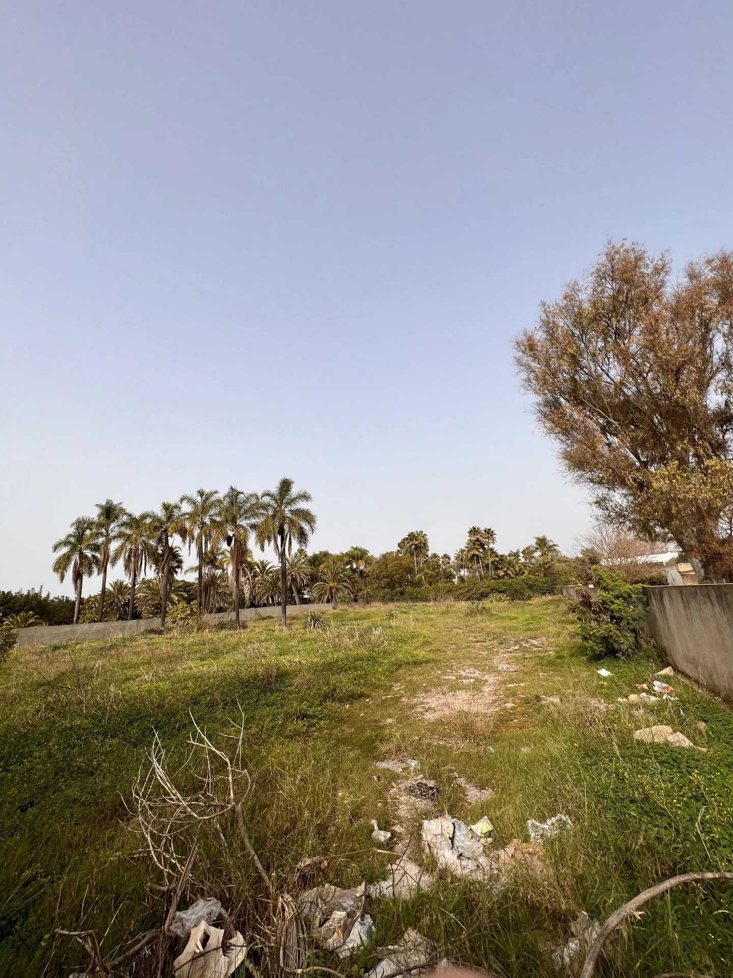 Land in Lqamra, Rabat-Sale-Kenitra 11914175