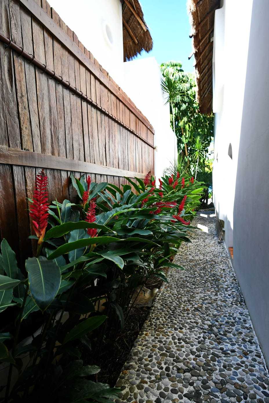 Huis in Cancún, Quintana Roo 11916431