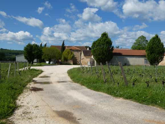 Andet i Duravel, Occitanie 11919619