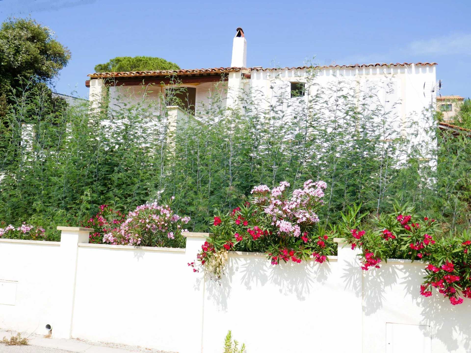 rumah dalam Saint-Aygulf, Provence-Alpes-Côte d'Azur 11921298