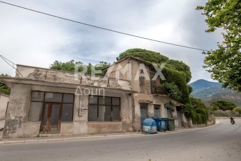 بيت في Kato Lechonia, Thessalia 11926777