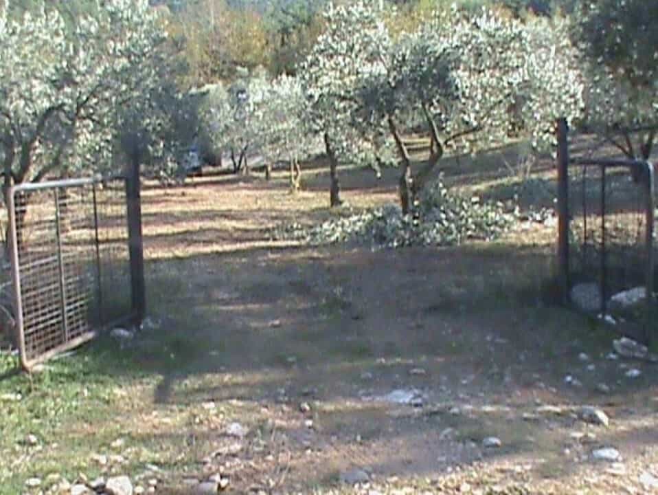 Tanah dalam Potamia, Anatoliki Makedonia kai Thraki 11929864