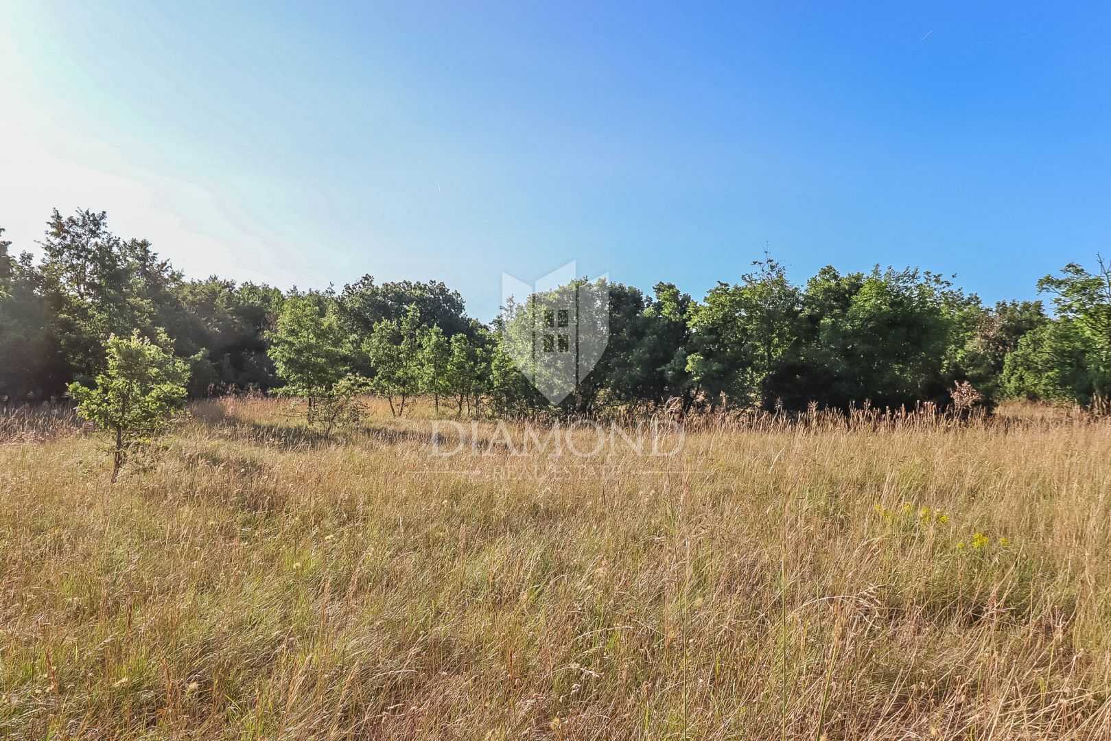 Tanah dalam Barban, Istarska Zupanija 11930169