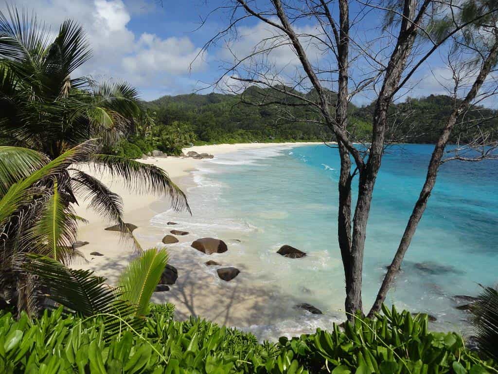 Land in Misere, Grand Anse Mahe 11936571