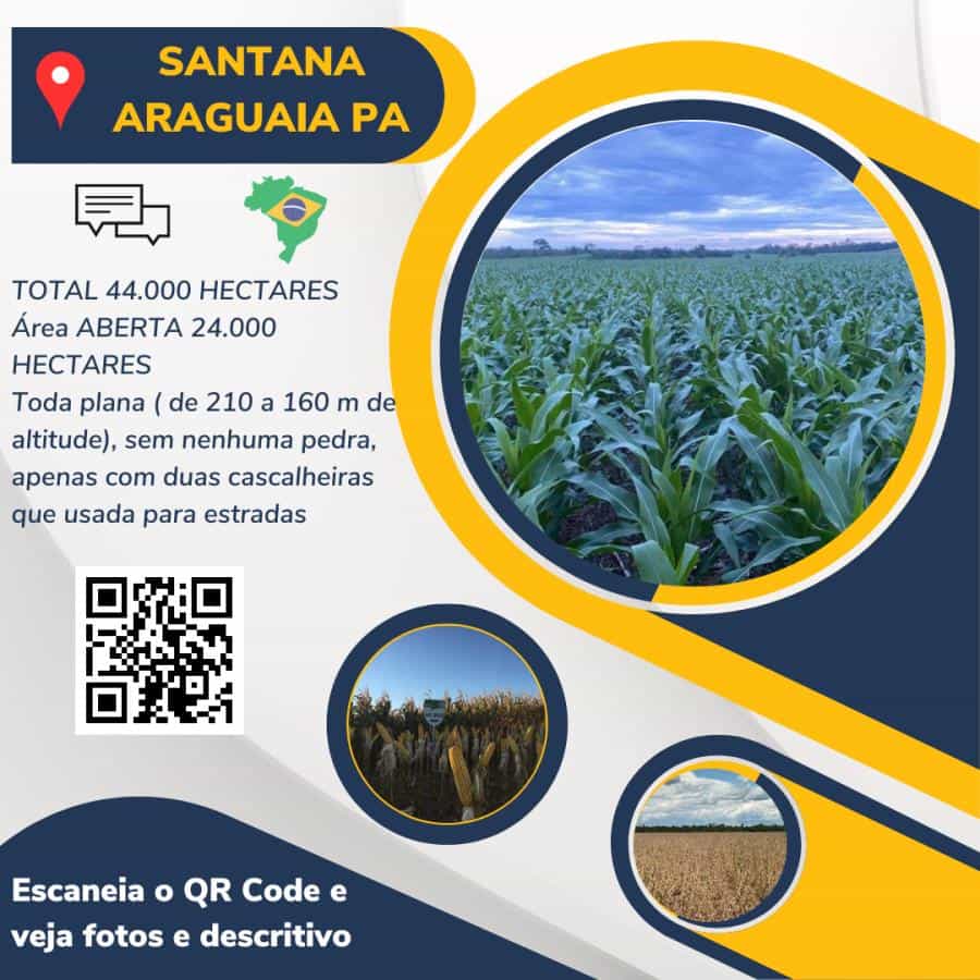 Andere in Santana do Araguaia, Para 11936672