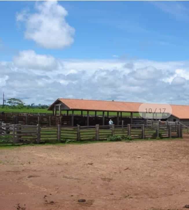 Andere in , State of Mato Grosso 11936674