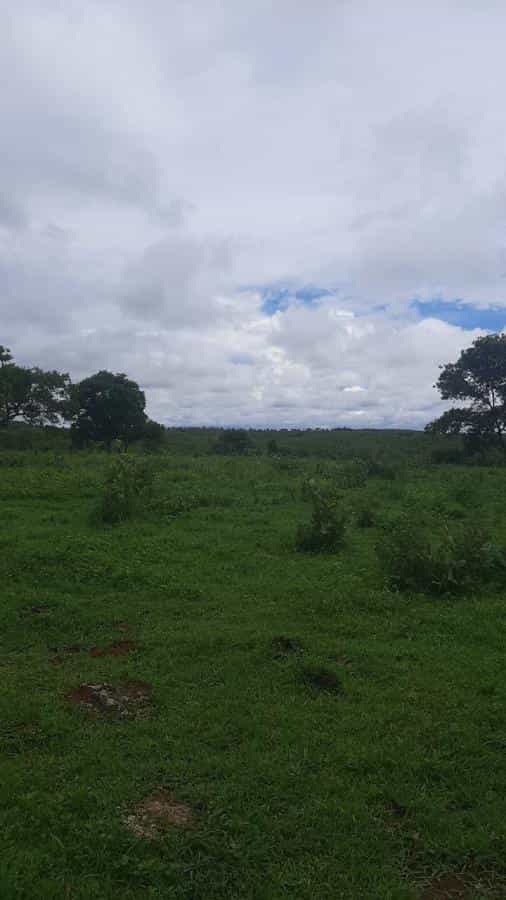 Lain di Kolonia Merure, Mato Grosso 11951028