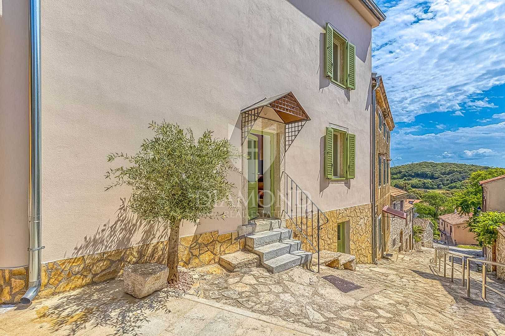 House in Vrsar, Istria County 11953517