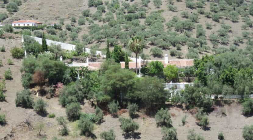 بيت في Canillas de Albaida, Andalusia 11958545