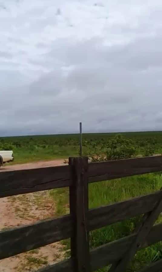 Lain di Kolonia Merure, Mato Grosso 11959650