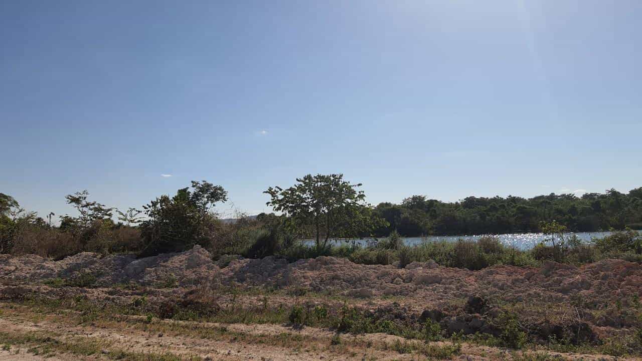 Lain di Nova Xavantina, Mato Grosso 11959653