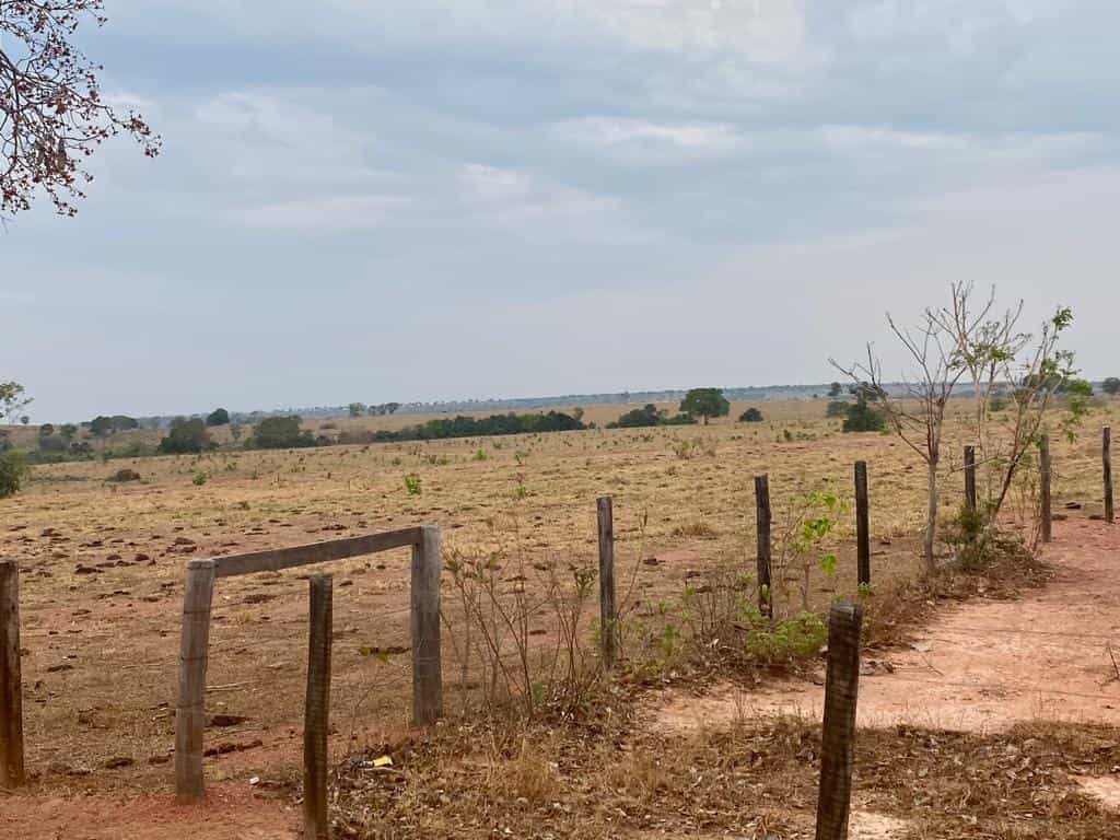 Lain di Kolonia Merure, Mato Grosso 11959656