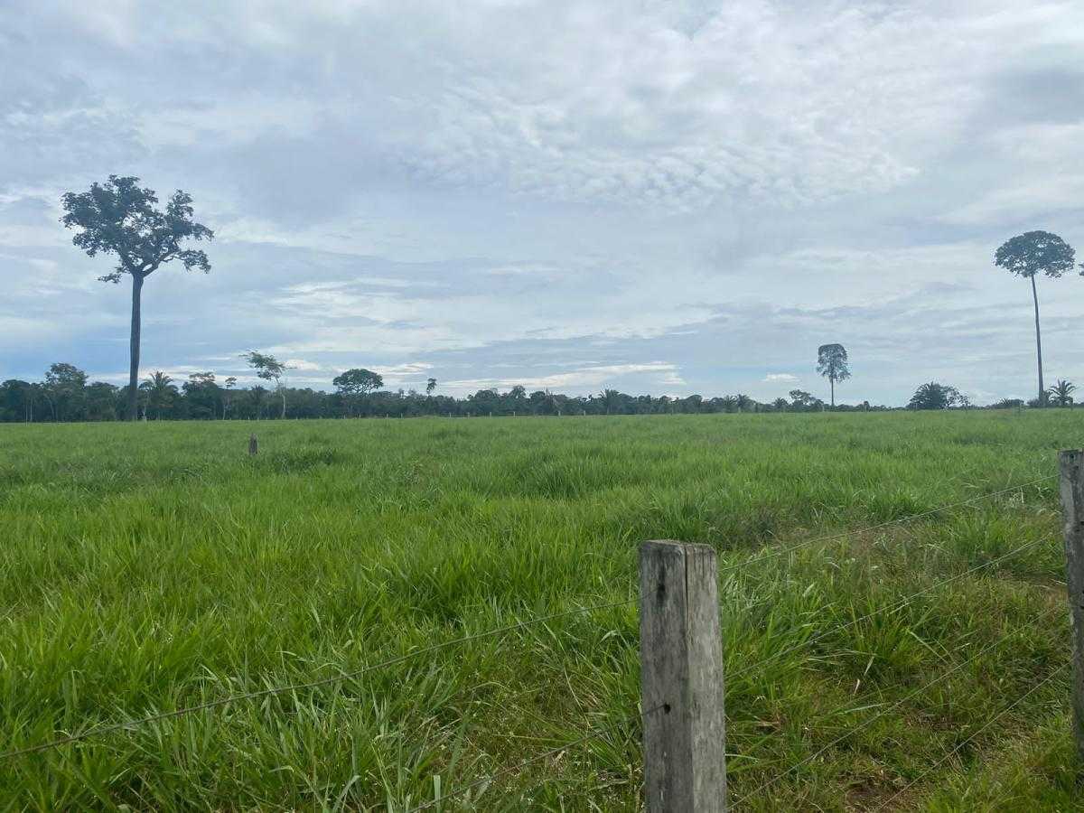 Andet i Porto Velho, State of Rondônia 11959673