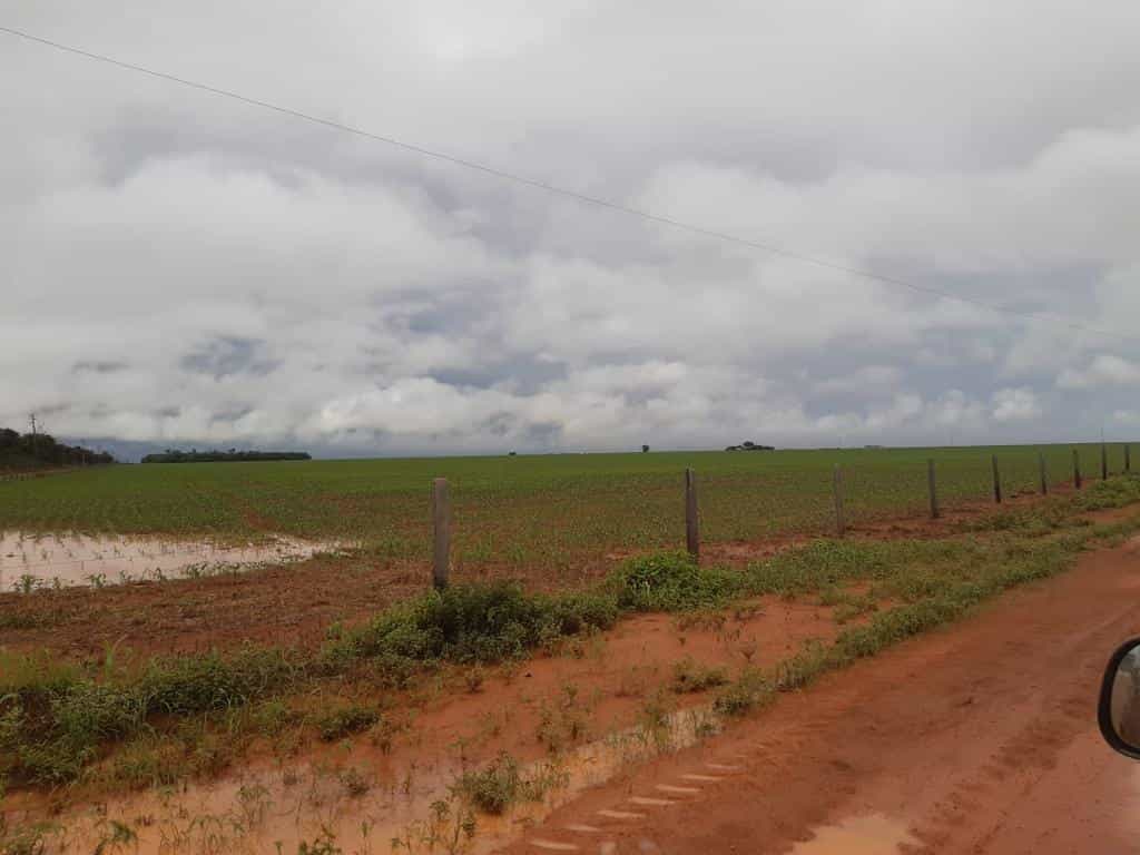 Andere im , State of Mato Grosso 11959692